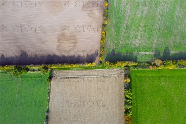 Aerial view over rural bocage landscape with fields and pastures, patchwork of plots surrounded by