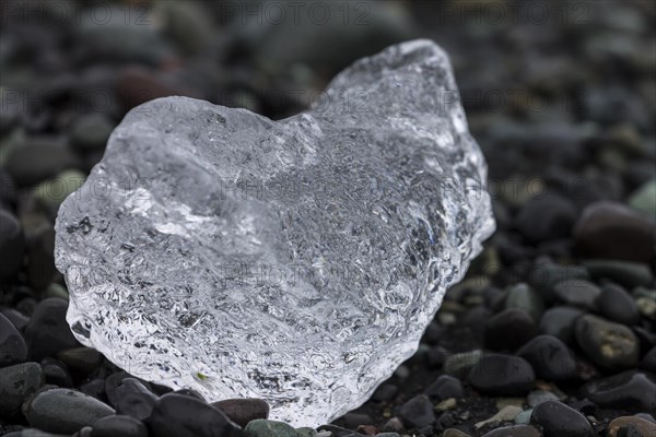 A piece of glacial ice, melting on the black sand beach near Joekulsarlon glacial lake on the