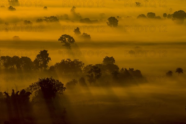 Fields around Sanchi, photographed at sunrise of a misty, December day, when orange rays of the sun