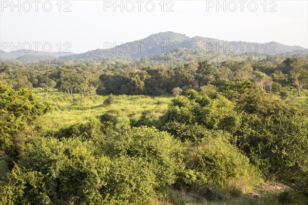 Landscape overview Hurulu Eco Park biosphere reserve, Habarana, Anuradhapura District, Sri Lanka,