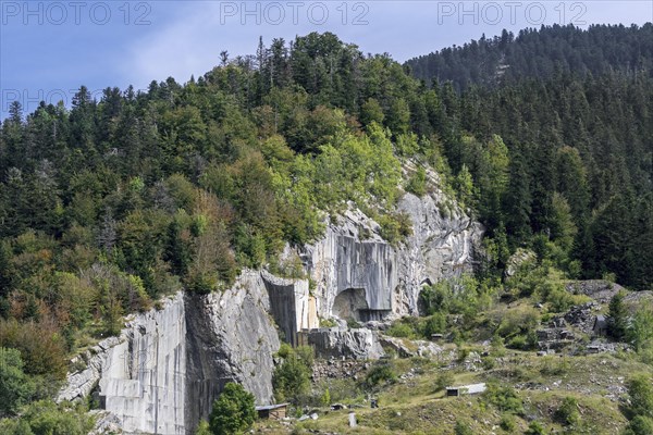 Carriere royale de l'Espiadet, Carriere du Roy, marble quarry at Payolle, Haute-Bigorre,