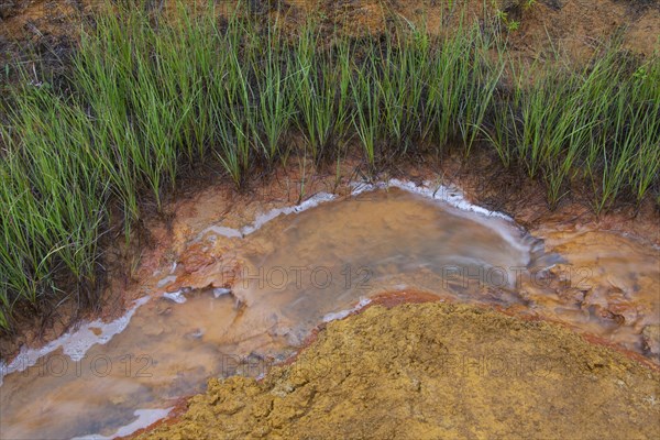 Paint Pots, iron-rich cold mineral springs in the Kootenay National Park, British Columbia, Canada,