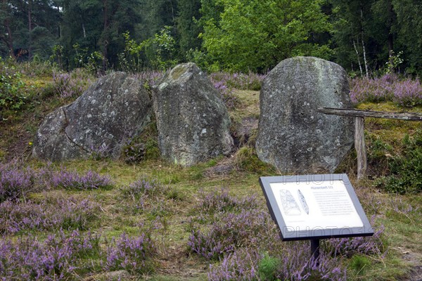Passage grave at Oldendorfer Totenstatt, group of six burial mounds and megalith sites in Oldendorf