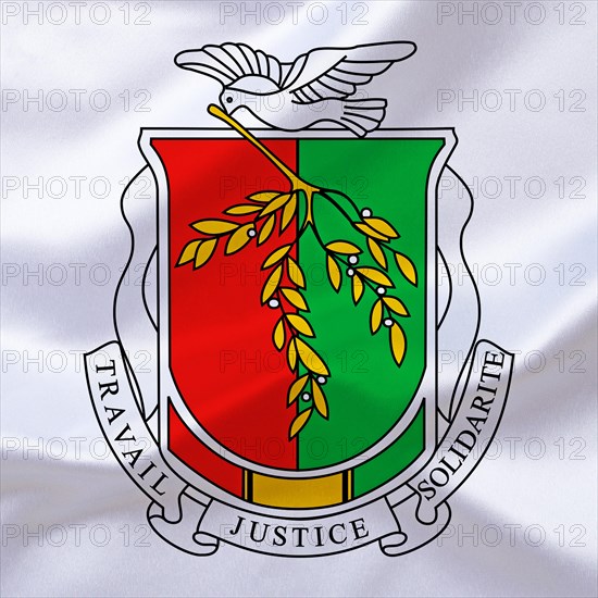 Africa, African Union, the coat of arms of Guinea, Studio