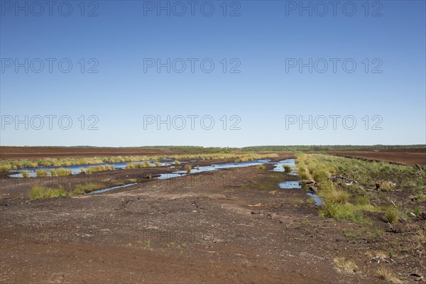 Peat extraction at Totes Moor, Tote Moor, raised bog near Neustadt am Ruebenberge, district of
