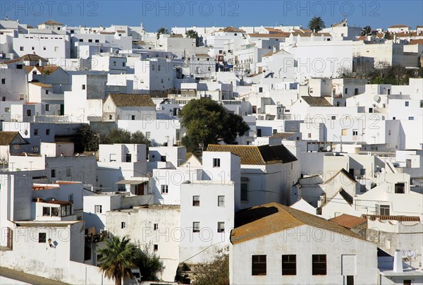 Pueblo blanco historic village whitewashed houses on hillside, Vejer de la Frontera, Cadiz
