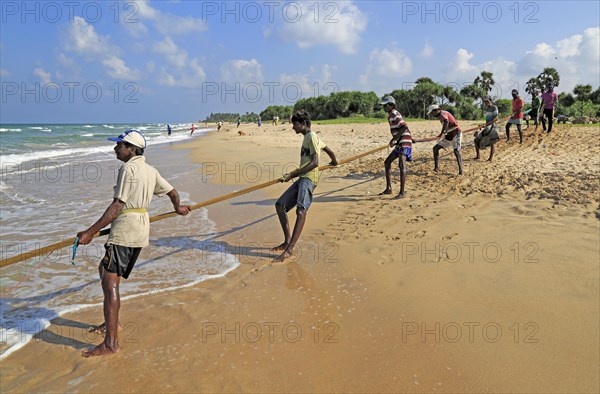 Traditional fishing hauling nets Nilavelli beach, near Trincomalee, Eastern province, Sri Lanka,