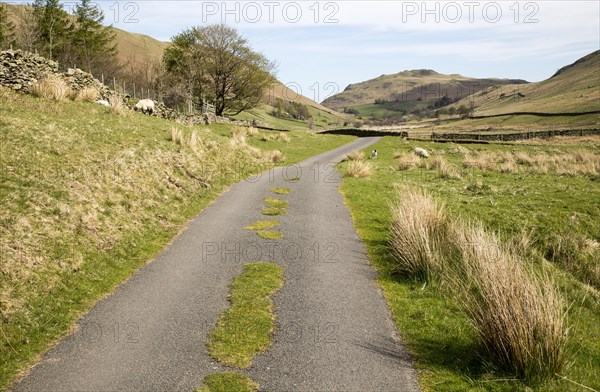 Narrow road and dry stonewall, Boredale valley, Martindale, Lake District national park, Cumbria,