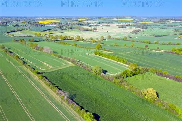 Aerial view over rural bocage landscape with fields and pastures, patchwork of plots surrounded by