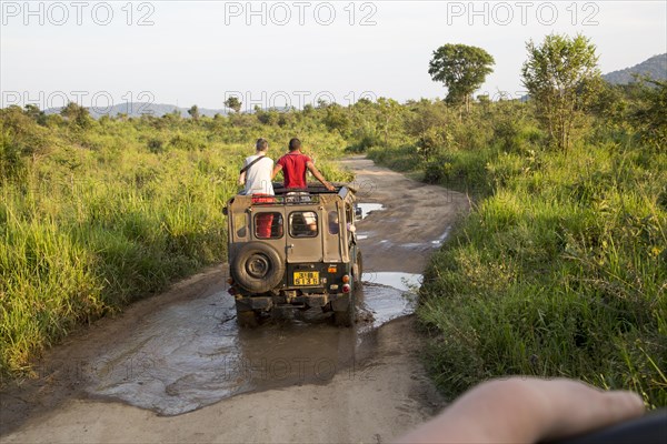 Elephant safari in Hurulu Eco Park biosphere reserve, Habarana, Anuradhapura District, Sri Lanka,