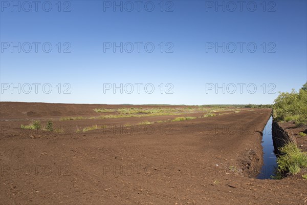 Peat extraction at Totes Moor, Tote Moor, raised bog near Neustadt am Ruebenberge, district of