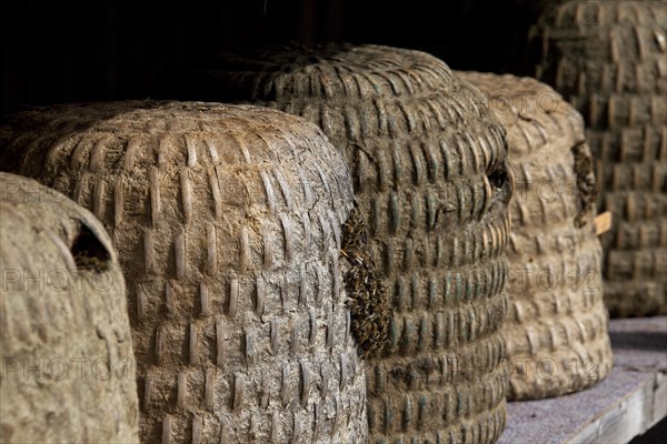 Bee hives, beehives, skeps in rustic shelter of apiary in the Lueneburg Heath, Lunenburg Heath,