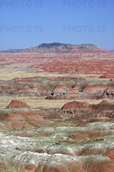 The Painted Desert, part of the Petrified Forest National Park stretches some 50, 000 acres of