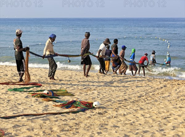 Traditional fishing hauling nets Nilavelli beach, near Trincomalee, Eastern province, Sri Lanka,