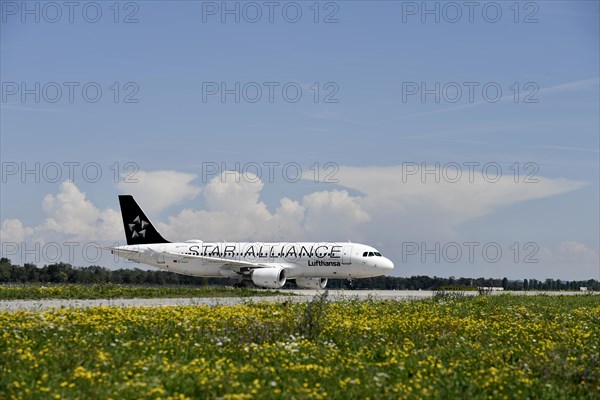 Star Alliance Airbus A320-200 taxiing after landing on taxiway from Runway North to Terminal 2 in
