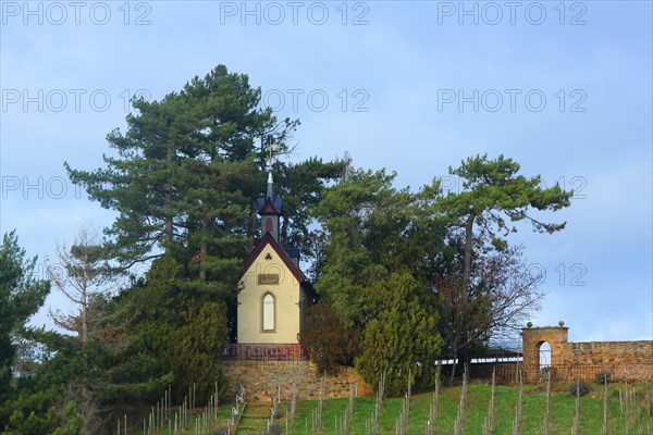 Neo-Gothic chapel built in 1890 on the hill, grapevines, vineyard, Heiligenblut, Alzey, Rhine-Hesse