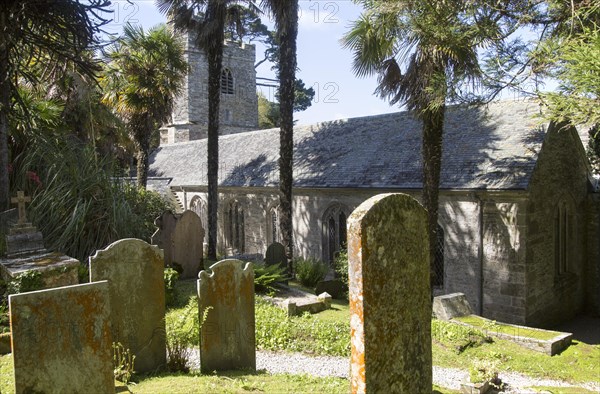 Historic gravestones and church amidst sub-tropical plants, St Just in Roseland, Cornwall, England,