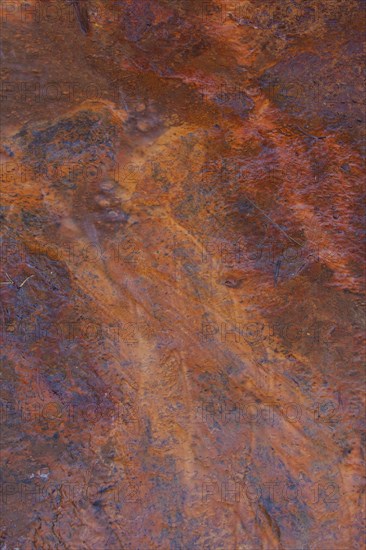 Paint Pots, iron-rich cold mineral springs in the Kootenay National Park, British Columbia, Canada,