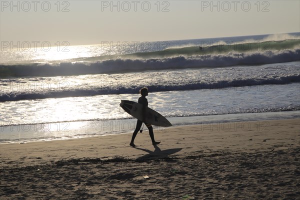 Surfer with board walking on El Palmar beach, Vejer de la Frontera, Cadiz Province, Spain, Europe