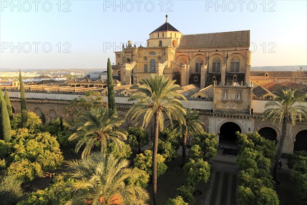 Raised angle view of Great Mosque, Mezquita cathedral, former mosque building in central, Cordoba,