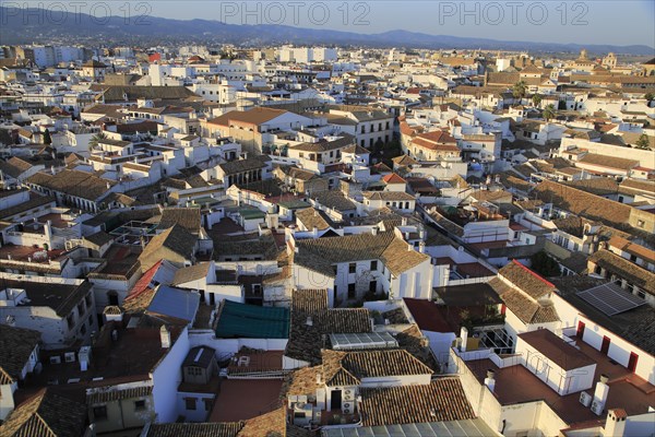 Oblique raised angle view of historic city centre buildings, Cordoba, Spain, Europe