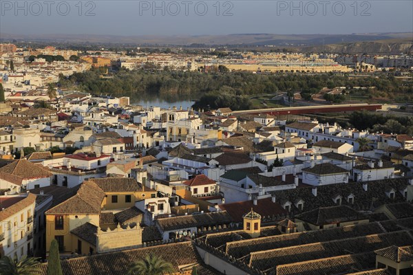 Oblique raised angle view of historic city centre buildings, Cordoba, Spain, Europe