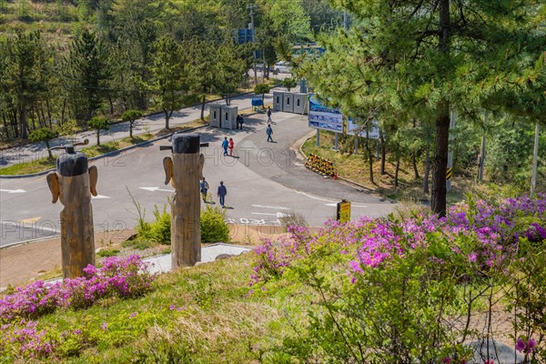 Back of large wooden totem poles in park at Goseong Unification Observation Tower in Goseong, South