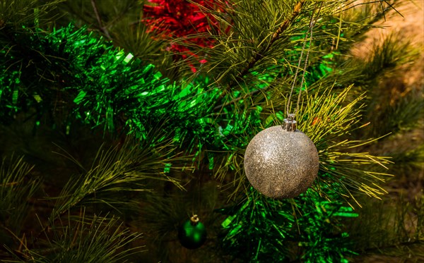 Silver textured Christmas ornament and green tensile garland hanging on pine tree in local park in