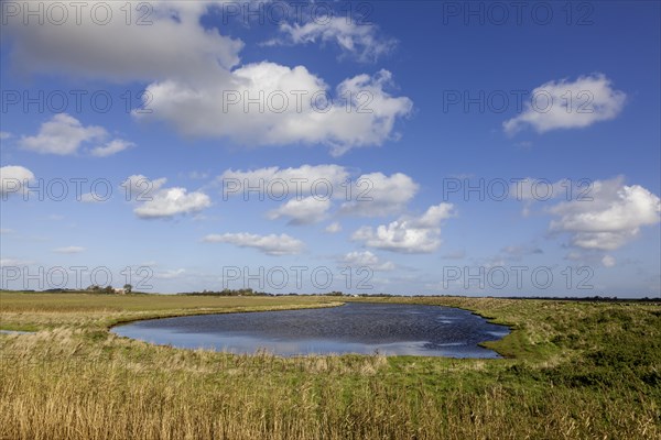 Landscape on the North Sea island of Texel, West Frisian island, province of North Holland,