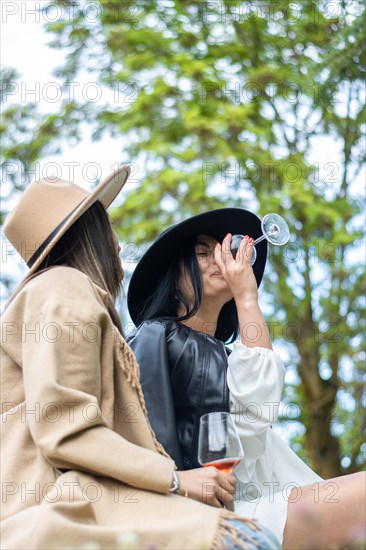 Lifestyle of young friends in hats sitting on the grass toasting with wine. Side view of two women
