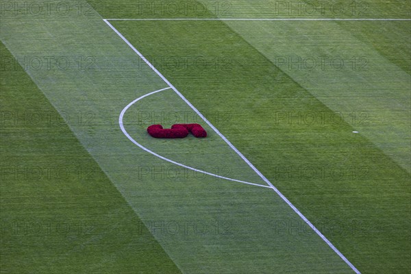 Symbolic shirt number 5 as a flower arrangement on the lawn of the Allianz Arena in honour of Franz