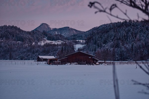Horse stable on a snow-covered meadow at sunrise with mountain panorama, Niederndorf, Austria,