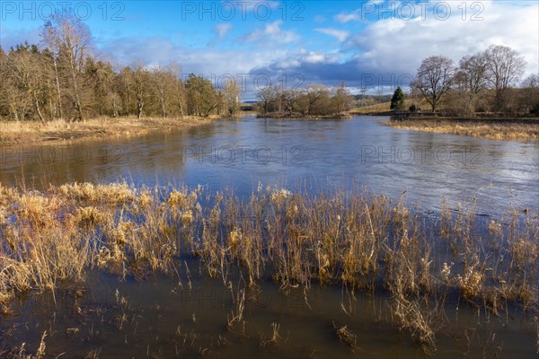 Confluence of the Breg and Brigach rivers to form the Danube, source of the Danube, Donaueschingen,