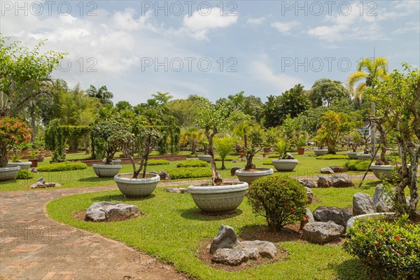 Palm collection in city park in Kuching, Malaysia, tropical garden with large trees and lawns,