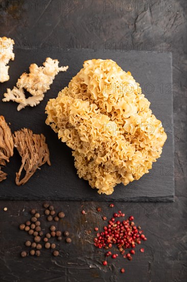Raw Sparassis (Cauliflower Mushroom), Hericium, Clavaria (coral mushroom) on black concrete