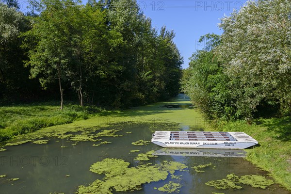 Ship in the green river of the Little Danube under a clear blue sky, Tomasikovo, Tomasikovo,