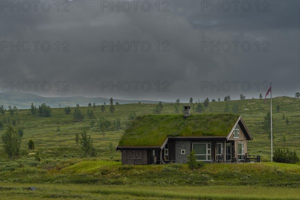 Photo of a holiday cabin, landscape format, log cabin, holiday home, wooden house, grass roof, lawn