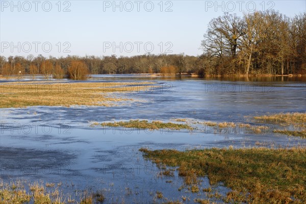 Winter floods 2024 on the Elbe and Mulde rivers with flooding of the meadows, ice on the meadows