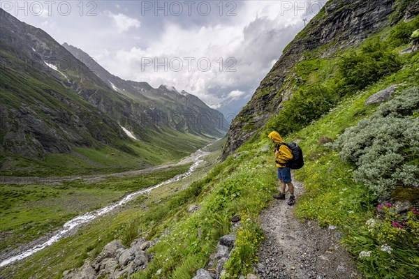 Mountaineer on a hiking trail, green mountain valley Floitengrund with mountain stream Floitenbach,