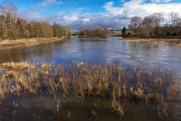 Confluence of the Breg and Brigach rivers to form the Danube, source of the Danube, Donaueschingen,