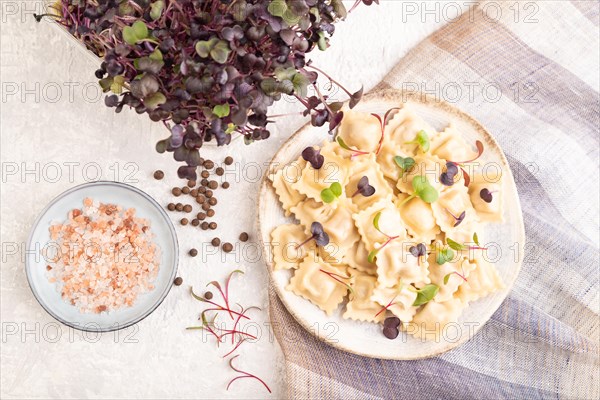 Dumplings with pepper, salt, herbs, microgreen on gray concrete background and linen textile. Top