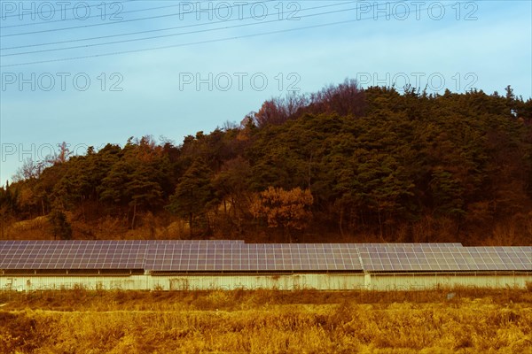 Aged photo of large array of solar panels setup in countryside in front of hillside covered in lush