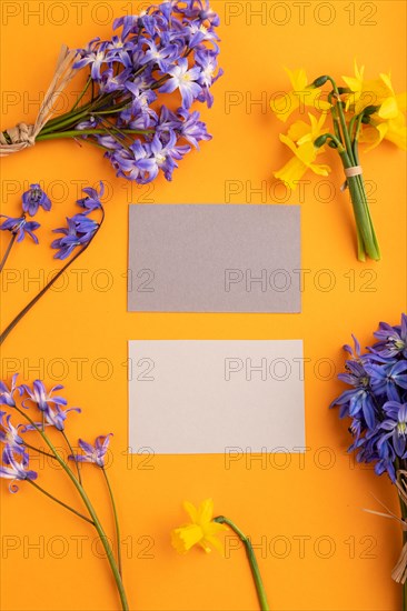 Gray paper business cards with spring snowdrop flowers bluebells, narcissus on orange pastel