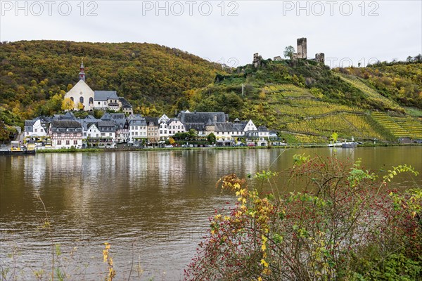 Vineyards in autumn colours and picturesque village, Beilstein, Moselle, Rhineland-Palatinate,