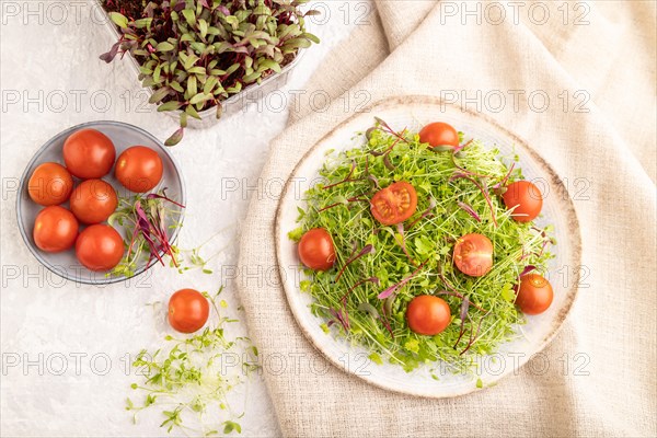 Vegetarian vegetables salad of tomatoes, celery, onion microgreen sprouts on gray concrete