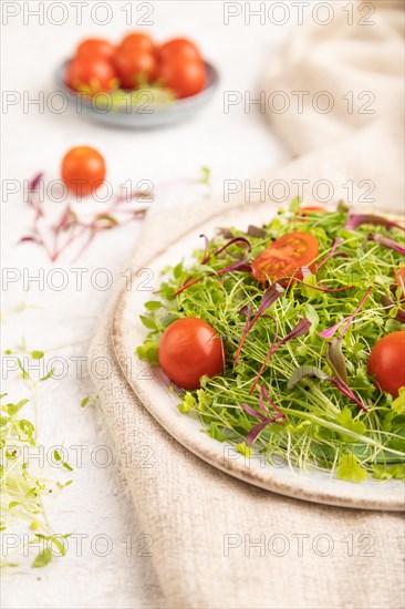 Vegetarian vegetables salad of tomatoes, celery, onion microgreen sprouts on gray concrete