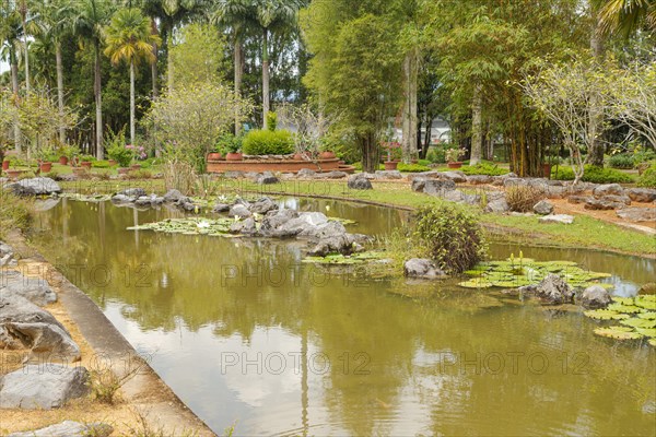 Palm collection in city park in Kuching, Malaysia, tropical garden with large trees, pond with