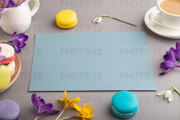 Blue paper sheet mockup with spring snowdrop crocus flowers and multicolored macaroons on gray