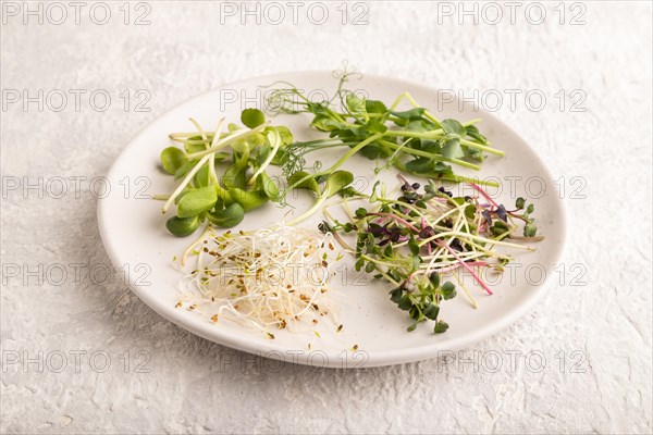 White ceramic plate with microgreen sprouts of green pea, sunflower, alfalfa, radish on gray