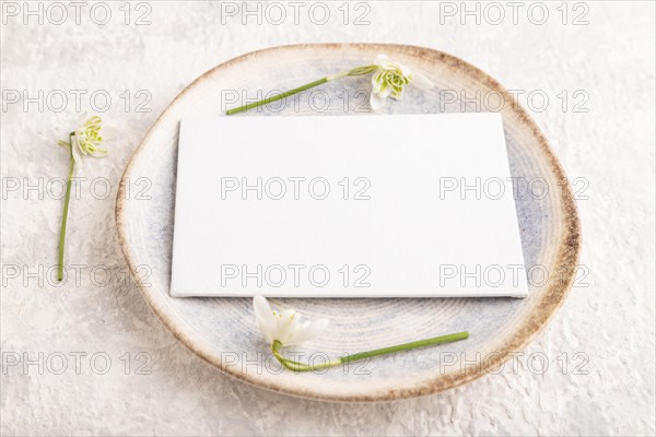 White paper invitation card, mockup with galanthus snowdrop flowers on ceramic plate and gray